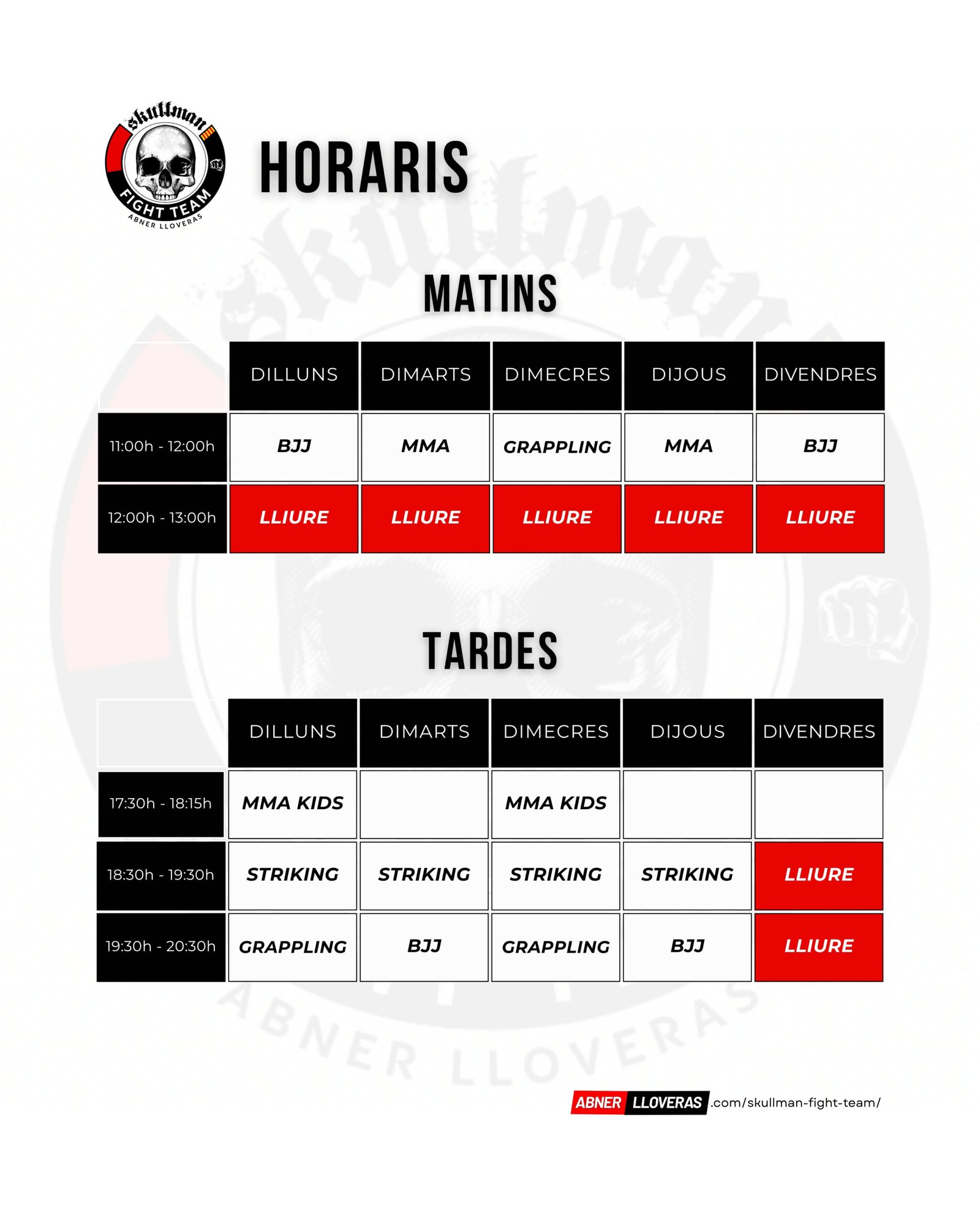 Horarios de Skullman Fight Team en Barcelona: MMA, MMA Kids, BJJ, Grappling y Striking